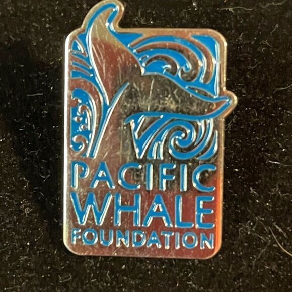 Vintage 1970s Pacific Whale Foundation Maui Hawaii Save the Whales pin brooch - Picture 1 of 4